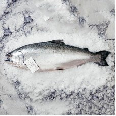 【国内现货包邮】Tasman Kitche 塔斯曼 新西兰南岛冰川雪水帝王鲑鱼整条（冰鲜去鳃去脏 3-5公斤/条）【首付5公斤，发货后以实际重量多退少补】